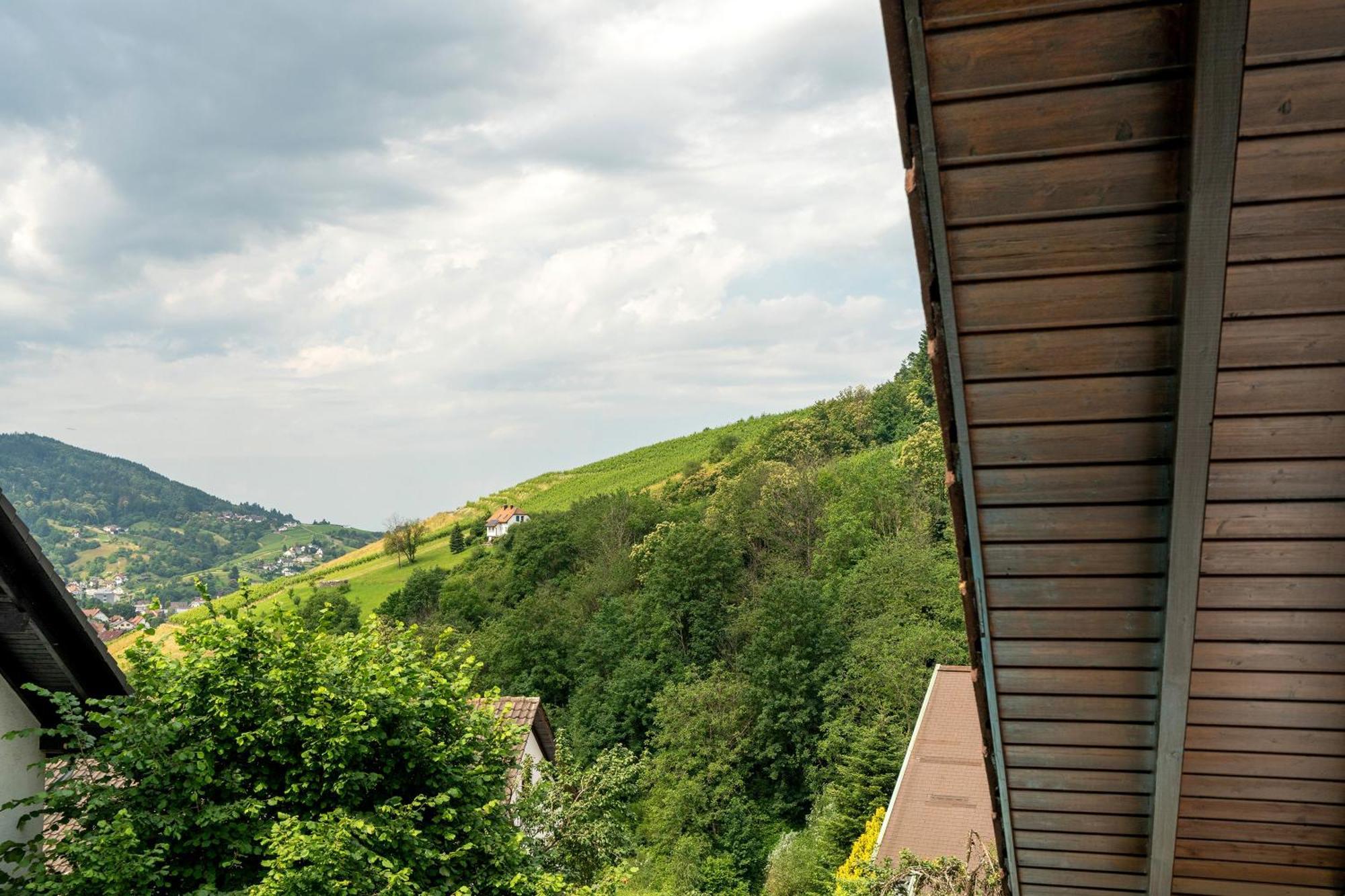 Apartment Wintereck Buhlertal